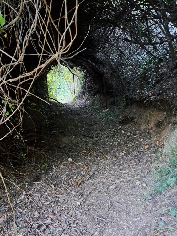 Casa Rural La Bodega, Ofrece Cata De Vino Gratis Horche Dış mekan fotoğraf